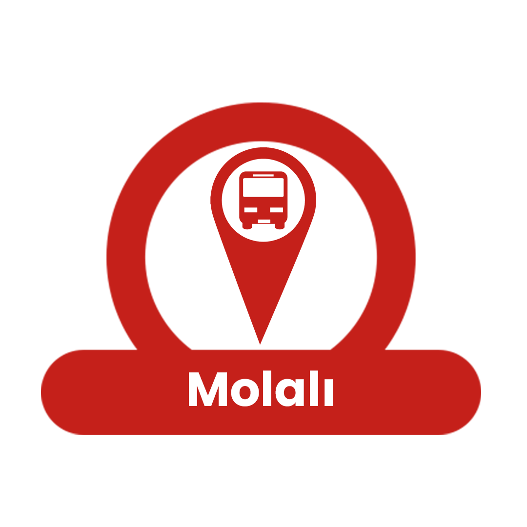 0_0001_Molali